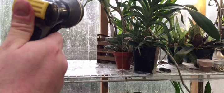 Как часто поливать растения зимой